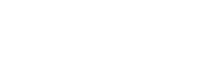 Item 1